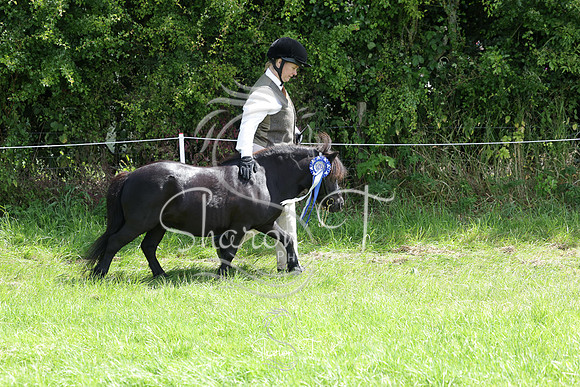 114700-IMG_5822