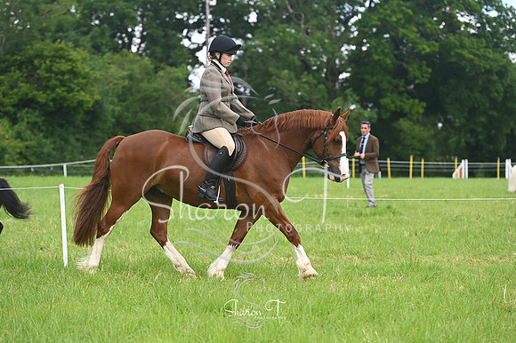 093105-STP_4379