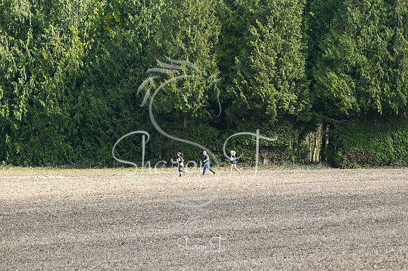 STP_0591