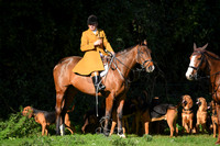 The Meet
