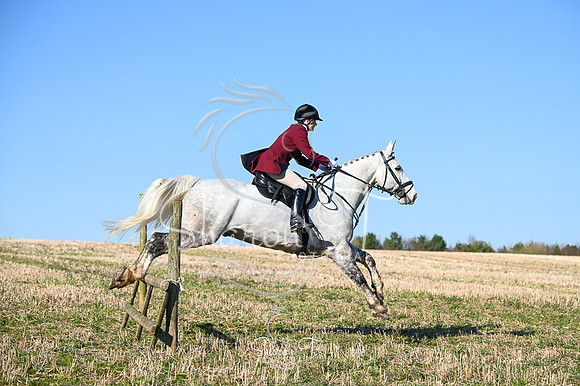 STP_9642