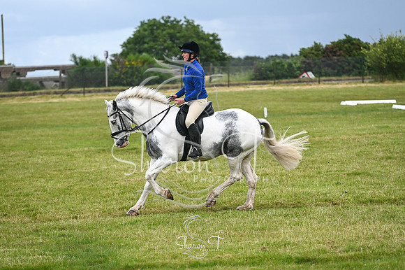 STP_0939