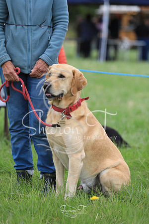 124909-JOB_6524
