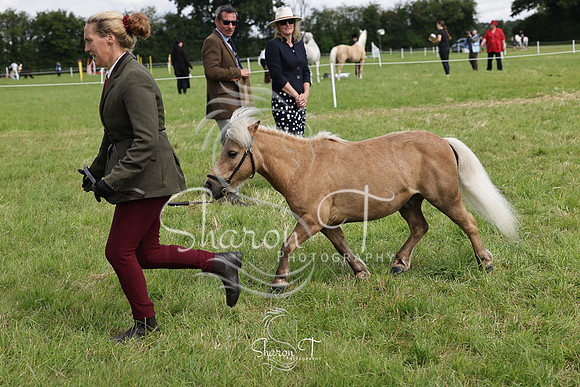 110935-IMG_2715