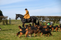 The Meet