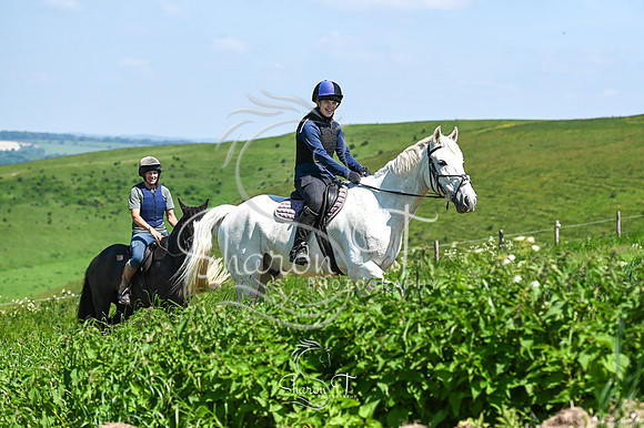 STP_7588