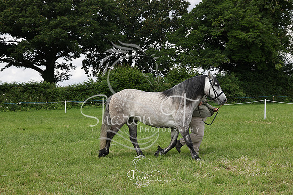 110612-IMG_2673