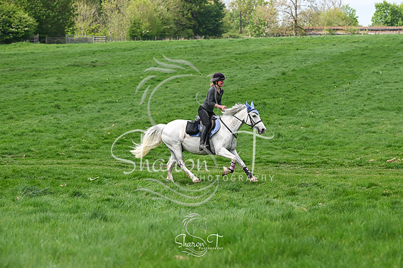 STP_5133