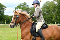 British Working Equitation at Wood Farm 8.6.2025