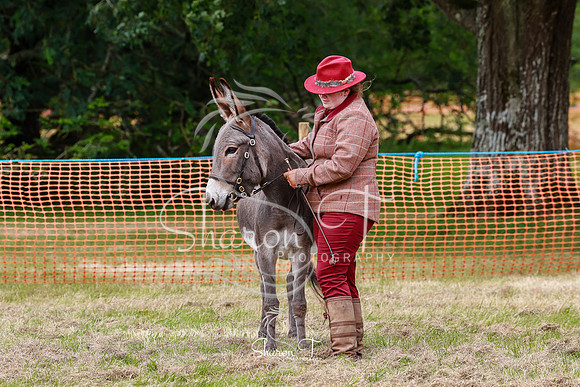 IMG_9122