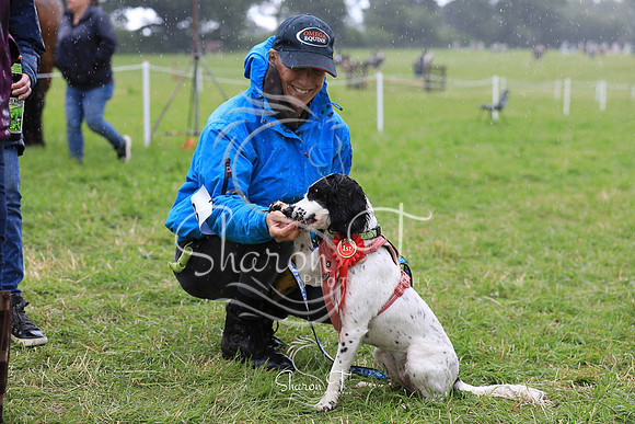 135052-JOB_6651