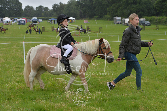 100054-DSB_0782
