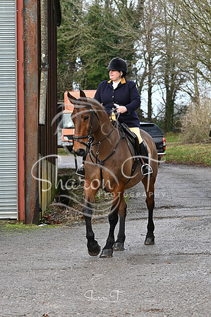 STP_4236