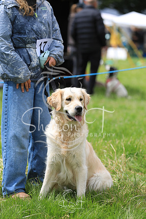 130133-JOB_6552