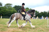 Ridden Showing