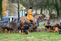 The Meet
