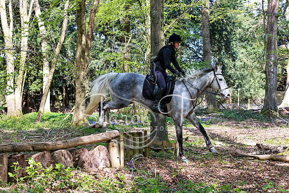 Bluebell Ride-8982