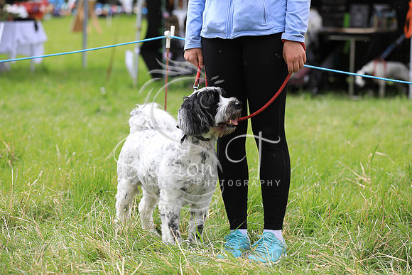 125051-JOB_6527