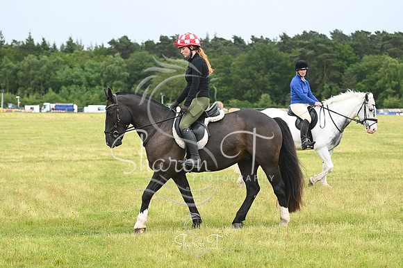 STP_0929