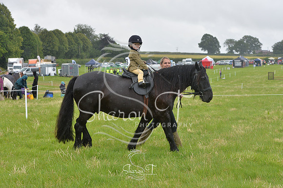 100036-DSB_0781