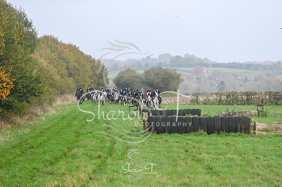 STP_6343