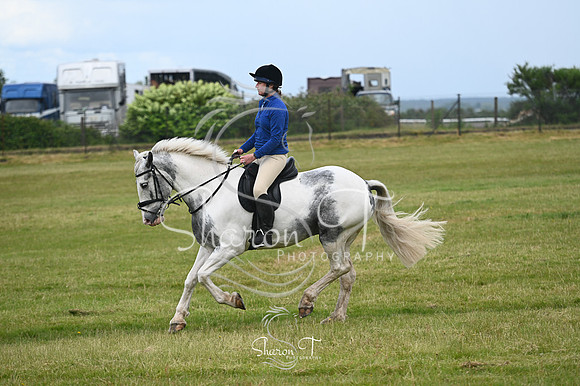 STP_0940