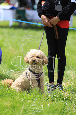 130356-JOB_6554