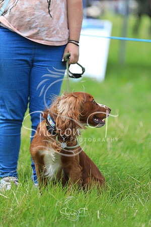 120710-JOB_6434