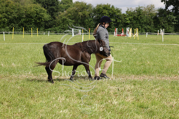 104810-IMG_2603