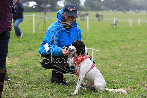 135052-JOB_6652