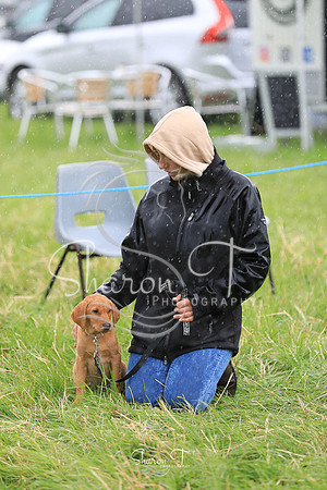 140148-JOB_6668