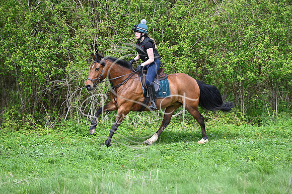 STP_2376