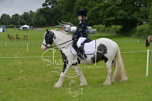 105404-DSB_0915