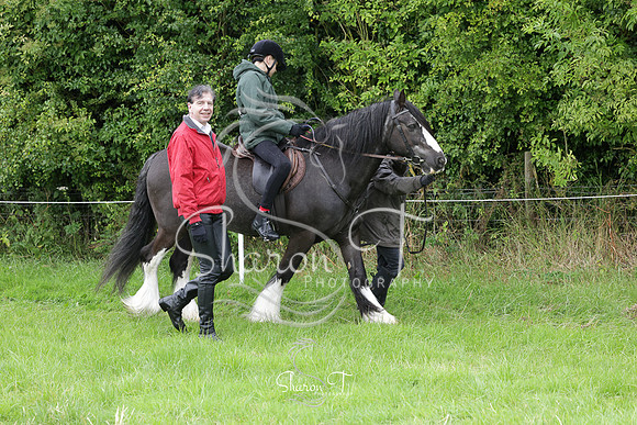 110940-IMG_5621