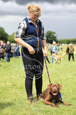 132107-JOB_6583