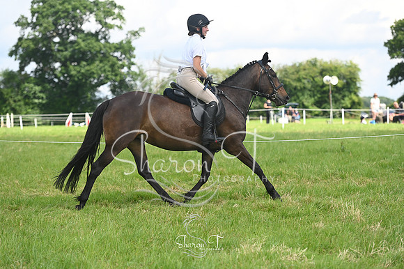 110041-STP_4708