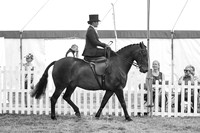 STP_6766