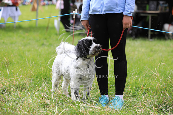 125104-JOB_6528