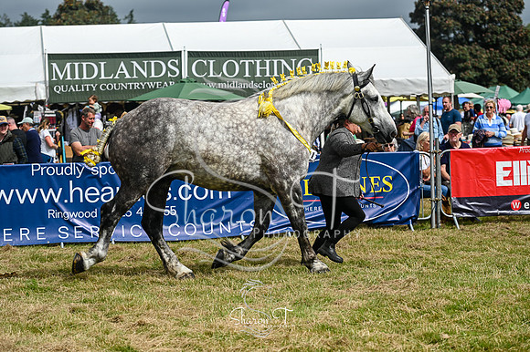 STP_6167