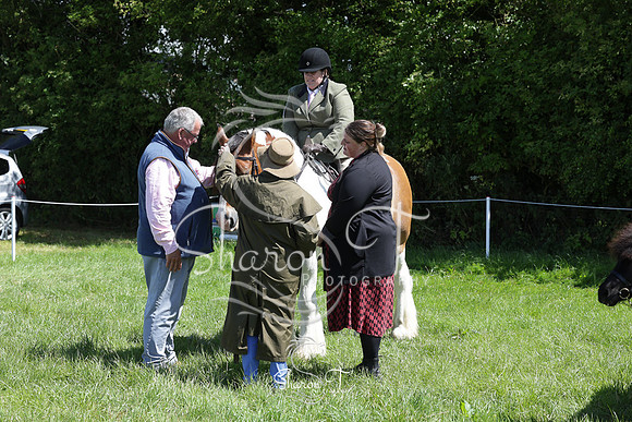 114053-IMG_5771