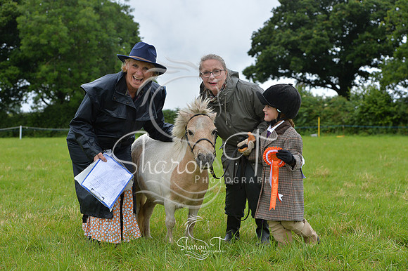 104120-DSB_0894