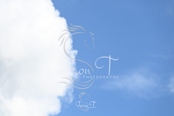 110045-STP_4709
