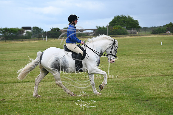 STP_0935