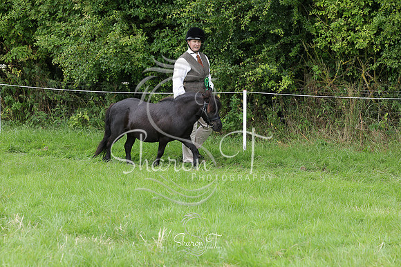 111042-IMG_5631
