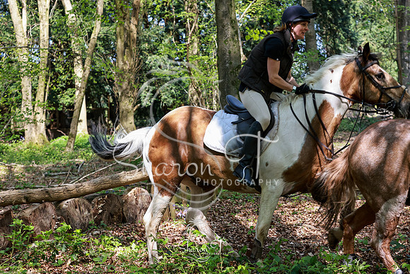 Bluebell Ride-8991