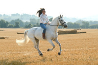 484