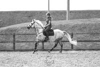 STP_0618