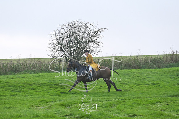 STP_6449