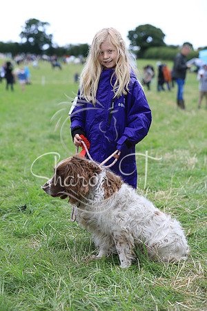 133905-JOB_6619