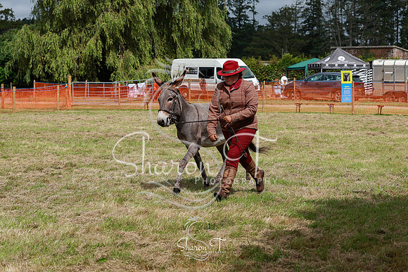 IMG_9118